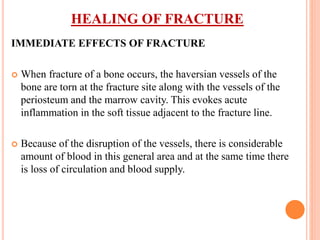 HEALING OF FRACTURE
IMMEDIATE EFFECTS OF FRACTURE
 When fracture of a bone occurs, the haversian vessels of the
bone are torn at the fracture site along with the vessels of the
periosteum and the marrow cavity. This evokes acute
inflammation in the soft tissue adjacent to the fracture line.
 Because of the disruption of the vessels, there is considerable
amount of blood in this general area and at the same time there
is loss of circulation and blood supply.
 