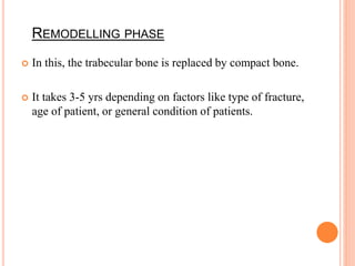 REMODELLING PHASE
 In this, the trabecular bone is replaced by compact bone.
 It takes 3-5 yrs depending on factors like type of fracture,
age of patient, or general condition of patients.
 