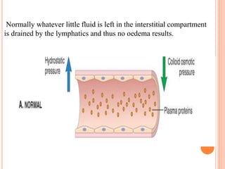 Normally whatever little fluid is left in the interstitial compartment
is drained by the lymphatics and thus no oedema results.
 