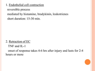 1. Endothelial cell contraction
reversible process
mediated by histamine, bradykinin, leukotrienes
short duration: 15-30 min.
2. Retraction of EC
TNF and IL-1
onset of response takes 4-6 hrs after injury and lasts for 2-4
hours or more
 