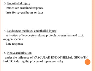 3. Endothelial injury
immediate sustained response,
lasts for several hours or days
4. Leukocyte-mediated endothelial injury
activation of leucocytes release proteolytic enzymes and toxic
oxygen species.
Late response
5. Neovascularisation
under the influence of VASCULAR ENDOTHELIAL GROWTH
FACTOR during the process of repair are leaky
 