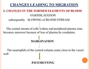CHANGES LEADING TO MIGRATION
1. CHANGES IN THE FORMED ELEMENTS OF BLOOD
VASODILATATION
subsequently, SLOWING of BLOOD STREAM
The central stream of cells widens and peripheral plasma zone
becomes narrower because of loss of plasma by exudation.
MARGINATION
The neutrophils of the central column come close to the vessel
wall
PAVEMENTING
 