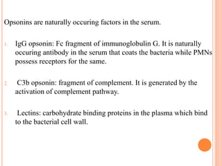 Opsonins are naturally occuring factors in the serum.
1. IgG opsonin: Fc fragment of immunoglobulin G. It is naturally
occuring antibody in the serum that coats the bacteria while PMNs
possess receptors for the same.
2. C3b opsonin: fragment of complement. It is generated by the
activation of complement pathway.
3. Lectins: carbohydrate binding proteins in the plasma which bind
to the bacterial cell wall.
 