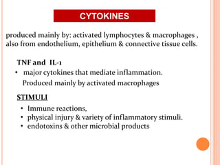 produced mainly by: activated lymphocytes & macrophages ,
also from endothelium, epithelium & connective tissue cells.
TNF and IL-1
• major cytokines that mediate inflammation.
Produced mainly by activated macrophages
• Immune reactions,
• physical injury & variety of inflammatory stimuli.
• endotoxins & other microbial products
STIMULI
CYTOKINES
 