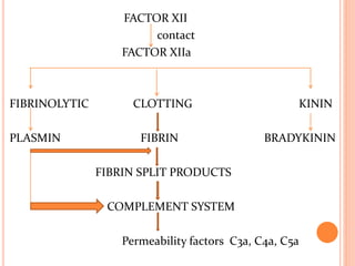 FACTOR XII
contact
FACTOR XIIa
FIBRINOLYTIC CLOTTING KININ
PLASMIN FIBRIN BRADYKININ
FIBRIN SPLIT PRODUCTS
COMPLEMENT SYSTEM
Permeability factors C3a, C4a, C5a
 