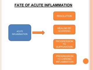 FATE OF ACUTE INFLAMMATION
ACUTE
INFLAMMATION
RESOLUTION
HEALING BY
SCARRING
PROGRESSION
TO
SUPPURATION
PROGRESSION
TO CHRONIC
INFLAMMATION
 