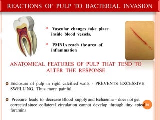 REACTIONS OF PULP TO BACTERIAL INVASION
ᶲ Vascular changes take place
inside blood vessels.
ᶲ PMNLs reach the area of
inflammation
ANATOMICAL FEATURES OF PULP THAT TEND TO
ALTER THE RESPONSE
Enclosure of pulp in rigid calcified walls - PREVENTS EXCESSIVE
SWELLING.. Thus more painful.
Pressure leads to decrease Blood supply and Ischaemia – does not get
corrected since collateral circulation cannot develop through tiny apical
foramina
59
 