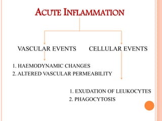 ACUTE INFLAMMATION
VASCULAR EVENTS CELLULAR EVENTS
1. HAEMODYNAMIC CHANGES
2. ALTERED VASCULAR PERMEABILITY
1. EXUDATION OF LEUKOCYTES
2. PHAGOCYTOSIS
 