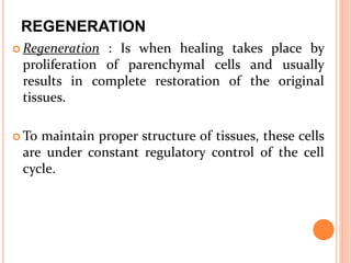 REGENERATION
 Regeneration : Is when healing takes place by
proliferation of parenchymal cells and usually
results in complete restoration of the original
tissues.
 To maintain proper structure of tissues, these cells
are under constant regulatory control of the cell
cycle.
 