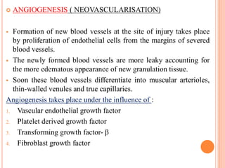  ANGIOGENESIS ( NEOVASCULARISATION)
 Formation of new blood vessels at the site of injury takes place
by proliferation of endothelial cells from the margins of severed
blood vessels.
 The newly formed blood vessels are more leaky accounting for
the more edematous appearance of new granulation tissue.
 Soon these blood vessels differentiate into muscular arterioles,
thin-walled venules and true capillaries.
Angiogenesis takes place under the influence of :
1. Vascular endothelial growth factor
2. Platelet derived growth factor
3. Transforming growth factor- β
4. Fibroblast growth factor
 
