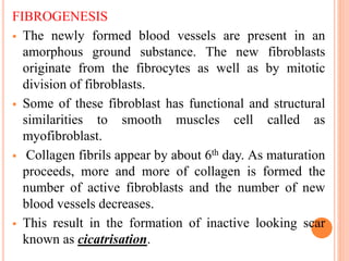 FIBROGENESIS
 The newly formed blood vessels are present in an
amorphous ground substance. The new fibroblasts
originate from the fibrocytes as well as by mitotic
division of fibroblasts.
 Some of these fibroblast has functional and structural
similarities to smooth muscles cell called as
myofibroblast.
 Collagen fibrils appear by about 6th day. As maturation
proceeds, more and more of collagen is formed the
number of active fibroblasts and the number of new
blood vessels decreases.
 This result in the formation of inactive looking scar
known as cicatrisation.
 
