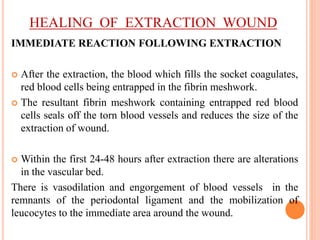 HEALING OF EXTRACTION WOUND
IMMEDIATE REACTION FOLLOWING EXTRACTION
 After the extraction, the blood which fills the socket coagulates,
red blood cells being entrapped in the fibrin meshwork.
 The resultant fibrin meshwork containing entrapped red blood
cells seals off the torn blood vessels and reduces the size of the
extraction of wound.
 Within the first 24-48 hours after extraction there are alterations
in the vascular bed.
There is vasodilation and engorgement of blood vessels in the
remnants of the periodontal ligament and the mobilization of
leucocytes to the immediate area around the wound.
 