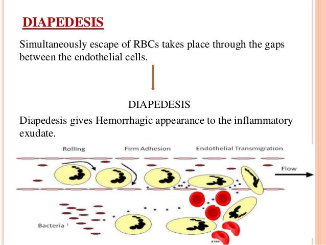 Inflammation and Healing