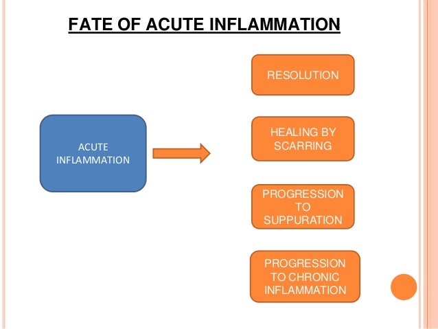 Inflammation and Healing