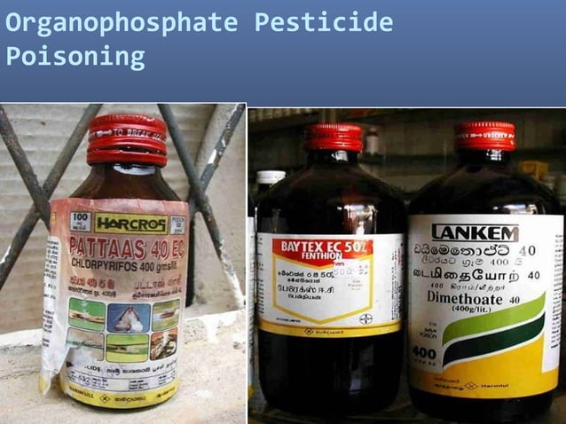 Insecticides and OP Poisoning | PPT