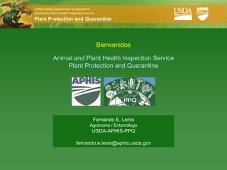 United States Department of Agriculture
Animal and Plant Health Inspection Service

Plant Protection and Quarantine




                                             Bienvenidos

             Animal and Plant Health Inspection Service
                 Plant Protection and Quarantine




                                        Fernando E. Lenis
                                      Agrónomo / Entomólogo
                                        USDA-APHIS-PPQ

                             fernando.e.lenis@aphis.usda.gov
 