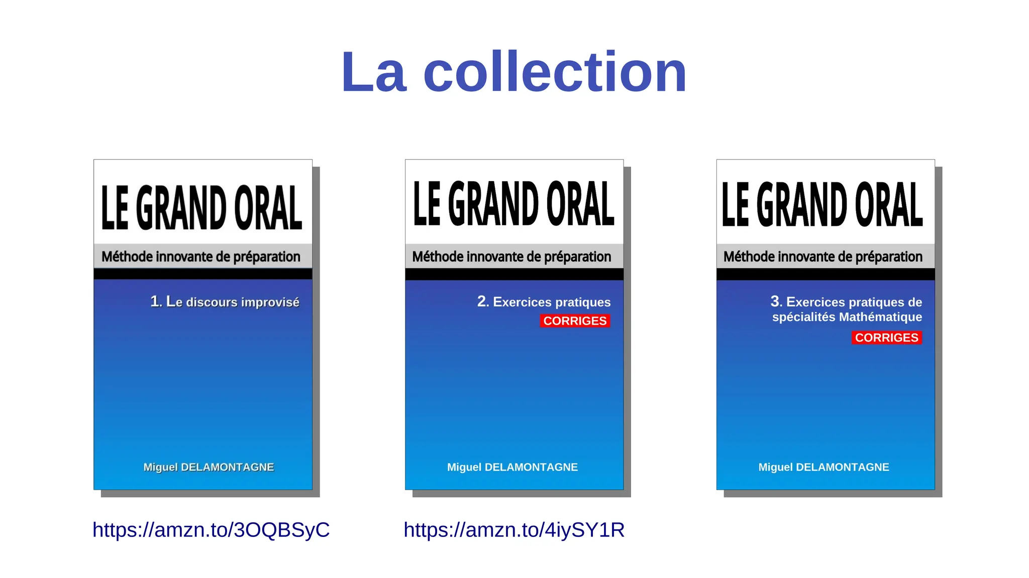 🎤 Grand oral ️ Exemples rédigés en 💻 NSI Inspiration et modèle 2/9 PPT