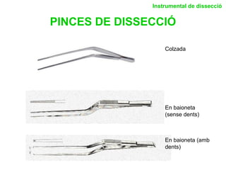 PINCES DE DISSECCIÓ
Instrumental de dissecció
Colzada
En baioneta
(sense dents)
En baioneta (amb
dents)
 