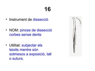 16
• Instrument de dissecció
• NOM: pinces de dissecció
corbes sense dents
• Utilitat: subjectar els
teixits mentre són
sotmesos a exposició, tall
o sutura.
 