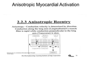Anisotropic Myocardial Activation




56
 