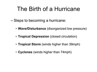The Birth of a Hurricane Steps to becoming a hurricane: Wave/Disturbance  (disorganized low pressure) Tropical Depression  (closed circulation) Tropical Storm  (winds higher than 39mph) Cyclones  (winds higher than 74mph) 