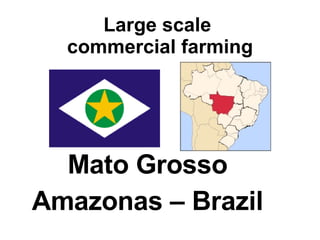 Large scale  commercial farming Mato Grosso  Amazonas – Brazil   