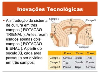 Inovações Tecnológicas
 A introdução do sistema
de cultura em três
campos ( ROTAÇÃO
TRIENAL ). Antes, eram
usados apenas dois
campos ( ROTAÇÃO
BIENAL ). A partir do
século XI, cada área
passou a ser dividida
em três campos.
 