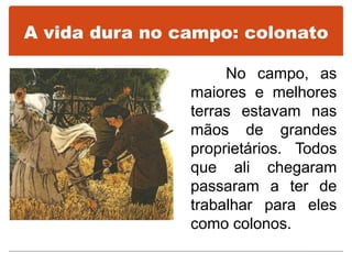 A vida dura no campo: colonato
No campo, as
maiores e melhores
terras estavam nas
mãos de grandes
proprietários. Todos
que ali chegaram
passaram a ter de
trabalhar para eles
como colonos.
 