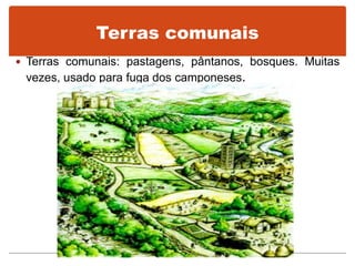 Terras comunais
 Terras comunais: pastagens, pântanos, bosques. Muitas
vezes, usado para fuga dos camponeses.
 