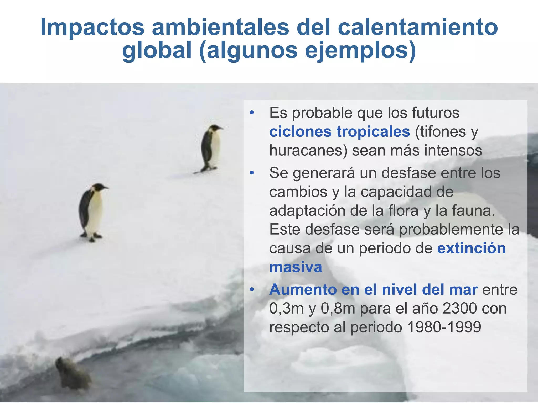 Impactos ambientales del calentamiento
      global (algunos ejemplos)

                 • Es probable que los futuros
                   ciclones tropicales (tifones y
                   huracanes) sean más intensos
                 • Se generará un desfase entre los
                   cambios y la capacidad de
                   adaptación de la flora y la fauna.
                   Este desfase será probablemente la
                   causa de un periodo de extinción
                   masiva
                 • Aumento en el nivel del mar entre
                   0,3m y 0,8m para el año 2300 con
                   respecto al periodo 1980-1999
 