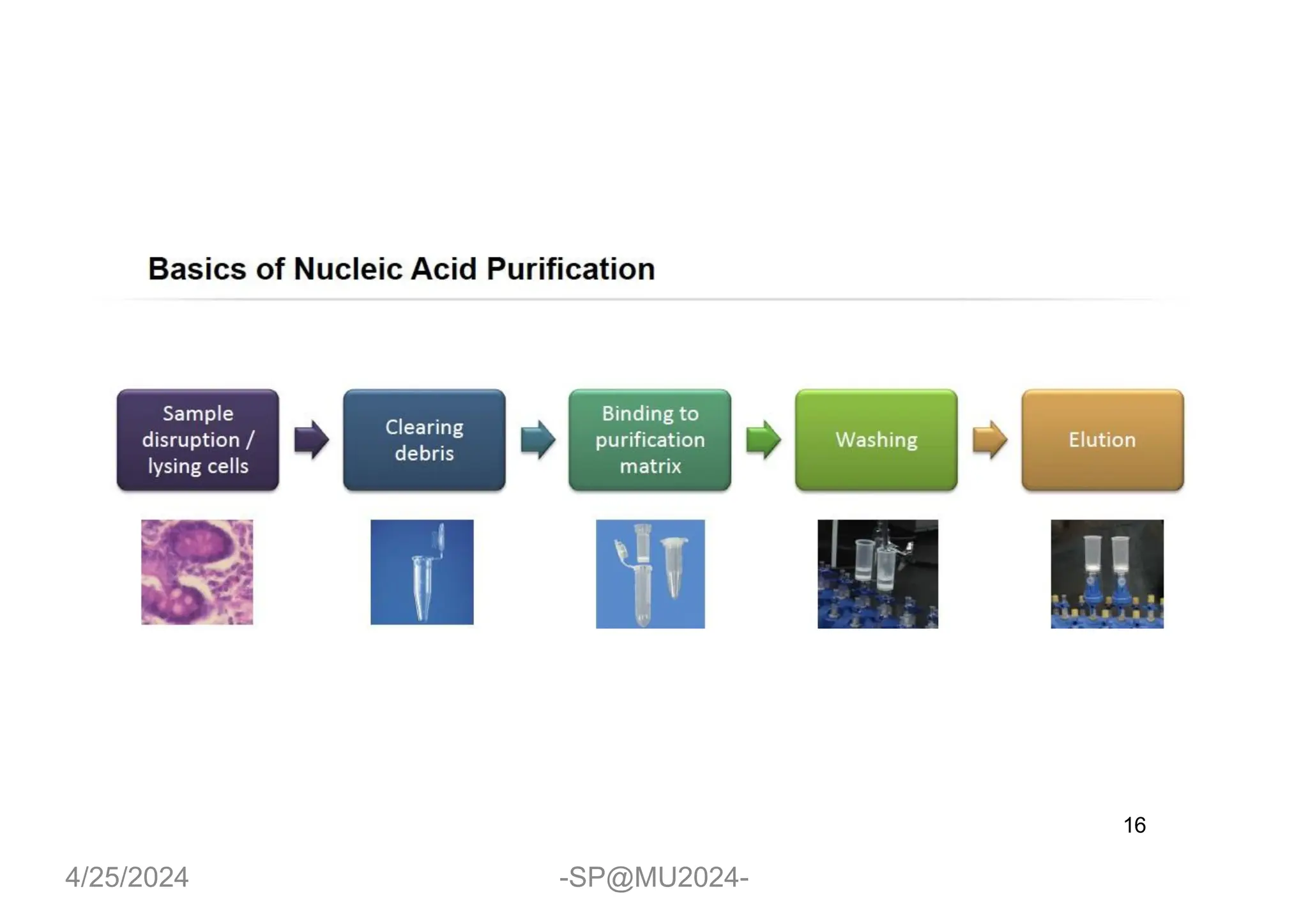 2-Isolation, Extraction and Purification of Nucleic acids.pdf