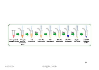 2-Isolation, Extraction and Purification of Nucleic acids.pdf