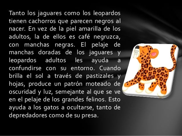 Los medios las manchas cosméticas de pigmento las revocaciones