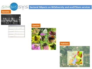Sectoral IMpacts on BIOdiversity and ecoSYStem services
Genetic




            Species




                                      Habitats
 