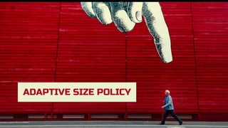 ADAPTIVE SIZE POLICY
 