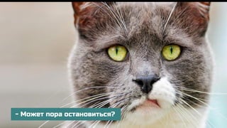 - Может пора остановиться?
 