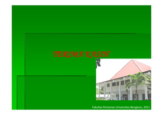 TERIMA K
  R    KASIH




        Fakultas Pertanian Universitas Bengkulu, 2011
 