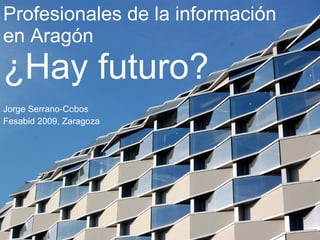 Profesionales de la información en Aragón  ¿Hay futuro? Jorge Serrano-Cobos Fesabid 2009, Zaragoza 