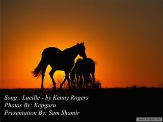 Song : Lucille - by Kenny Rogers Photos By: Kepguru Presentation By: Sam Shamir 