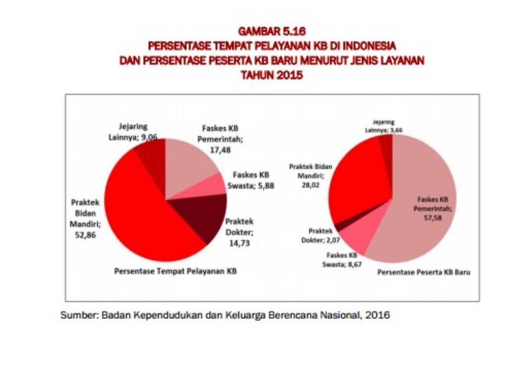 Kesehatan Ibu dan Anak