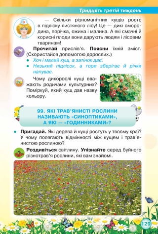 Тридцять третій тиждень
129
— Скільки різноманітних кущів росте	
в підліску листяного лісу! Це — дикі сморо-
дина, порічка, ожина і малина. А які смачні й
корисні плоди вони дарують людям і лісовим
тваринам!
Прочитай прислів’я. Поясни їхній зміст.	
(Скористайся допомогою дорослих.)
zz Хоч і малий кущ, а затінок дає.
zz Низький підлісок, а гори зберігає й річки
напуває.
Чому дикорослі кущі вва-
жають родичами культурних?
Поміркуй, який кущ дав назву
кольору.
99. Які трав’янисті рослини
називають «синоптиками»,
а які — «годинниками»?
zz Пригадай. Які дерева й кущі ростуть у твоєму краї?	
У чому полягають відмінності між кущем і трав’я­
нистою рослиною?
Роздивіться світлину. Упізнайте серед буйного
різнотрав’я рослини, які вам знайомі.
 