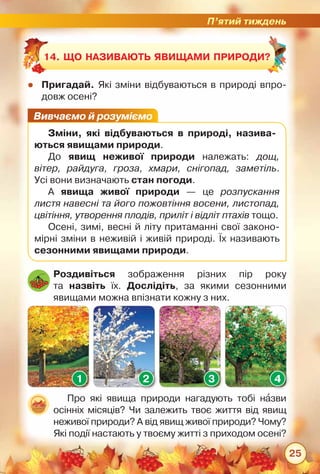 П’ятий тиждень
25
zz Пригадай. Які зміни відбуваються в природі впро-
довж осені?
14. Що називають явищами природи?
Вивчаємо й розуміємо
Зміни, які відбуваються в природі, назива­
ються явищами природи.
До явищ неживої природи належать: дощ,
вітер, райдуга, гроза, хмари, снігопад, заметіль.	
Усі вони визначають стан погоди.
А явища живої природи — це розпускання
листя навесні та його пожовтіння восени, листопад,
цвітіння, утворення плодів, приліт і відліт птахів тощо.
Осені, зимі, весні й літу притаманні свої законо-
мірні зміни в неживій і живій природі. Їх називають
сезонними явищами природи.
Роздивіться зображення різних пір року	
та назвіть їх. Дослідіть, за якими сезонними	
явищами можна впізнати кожну з них.
Про які явища природи нагадують тобі назви
осінніх місяців? Чи залежить твоє життя від явищ
неживої природи? А від явищ живої природи? Чому?
Які події настають у твоєму житті з приходом осені?
1 2 3 4
 