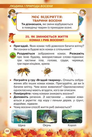 ЛЮДИНА І ПРИРОДА ВОСЕНИ
38
МОЄ ВІДКРИТТЯ:
ТВАРИНИ ВОСЕНИ
Ти дізнаєшся, які зміни відбуваються	
в поведінці тварин із приходом осені.
zz Пригадай. Яких комах тобі довелося бачити влітку?
Які ознаки в будові всіх комах є спільними?
zz Пограйте у гру «Вгадай тварину». Опишіть зобра-
жених або інших комах комах. Пригадайте, де ви їх
бачили влітку. Чим вони живилися? Однокласники/
однокласниці мають вгадати, кого ви описали.
zz Поміркуйте: чому комахи зникають восени?
zz Доповніть речення. З настанням … комахи хова-
ються в укриття: під кору і пеньки дерев, у ґрунт,
водойми, підвали.
zz Чому восени спосіб життя риб змінюється?
Роздивіться зображення комах. Розкажіть
про їхню будову, використавши слова-підказки:	
три частини тіла, голова, груди, черевце,
три пари кінцівок, крила.
25. Як змінюється життя
комах і риб восени?
Щука Окунь Короп
 