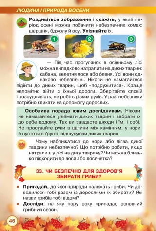 ЛЮДИНА І ПРИРОДА ВОСЕНИ
46
Роздивіться зображення і скажіть, у який пе-
ріод осені можна побачити небезпечних комах:
шершня, бджолу й осу. Упізнайте їх.
— Під час прогулянок в осінньому лісі	
можна випадково натрапити на диких тварин:
кабана, велетня лося або оленя. Усі вони од-
наково небезпечні. Ніколи не намагайтеся	
підійти до диких тварин, щоб «подружитися». Краще	
непомітно зійти з їхньої дороги. Зберігайте спокій	
і розсудливість, не робіть різких рухів. У разі небезпеки
потрібно кликати на допомогу дорослих.
Особлива порада юним дослідникам. Ніколи	
не намагайтеся упіймати диких тварин і забрати їх
до себе додому. Так ви завдасте шкоди і їм, і собі.	
Не просувайте руки в щілини між камінням, у нори	
й пустоти в ґрунті, відшукуючи диких тварин.
31 2
zz Пригадай, до якої природи належать гриби. Чи до-
водилося тобі разом із дорослими їх збирати? Які
назви грибів тобі відомі?
zz Досліди, на яку пору року припадає основний	
грибний сезон.
Чому наближатися до нори або лігва дикої	
тварини небезпечно? Що потрібно робити, якщо
натрапиш у лісі на дику тварину? Чи можна близь-
ко підходити до лося або лосенятка?
33. Чи безпечно для здоров’я
збирати гриби?
 