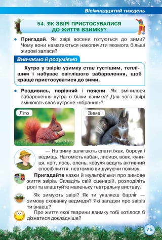 Вісімнадцятий тиждень
75
— На зиму залягають спати їжак, борсук і
ведмідь. Натомість кабан, лисиця, вовк, куни-
ця, кріт, лось, олень, козуля ведуть активний
спосіб життя, невтомно вишукуючи поживу.
zz Пригадай. Як звірі восени готуються до зими?	
Чому вони намагаються накопичити якомога більші
жирові запаси?
54. Як звірі пристосувалися
до життя взимку?
Вивчаємо й розуміємо
Хутро у звірів узимку стає густішим, теплі­
шим і набуває світлішого забарвлення, щоб
краще пристосуватися до зими.
zz Роздивись, порівняй і поясни. Як змінилося	
забарвлення хутра в білки взимку? Для чого звірі
змінюють своє хутряне «вбрання»?
Пригадайте казки й мультфільми про зимове
життя звірів. Складіть свій сценарій, розподіліть
ролі та влаштуйте маленьку театральну виставу.
Як зимують звірі? Як ти уявляєш барліг —	
зимову схованку ведмедя? Які загадки про звірів
ти знаєш?
Про життя якої тварини взимку тобі хотілося б
дізнатися докладніше?
Літо Зима
 