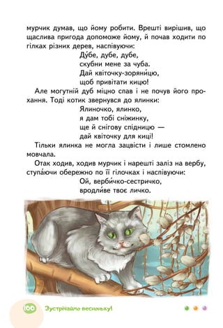 мурчик думав, що йому робити. Врешті вирішив, що
щаслива пригода допоможе йому, й почав ходити по
гілках різних дерев, наспівуючи:
Дубе, дубе, дубе,
скубни мене за чуба.
Дай квіточку-зоряницю,
щоб привітати кицю!
Але могутній дуб міцно спав і не почув його про-
хання. Тоді котик звернувся до ялинки:
Ялиночко, ялинко,
я дам тобі сніжинку,
ще й снігову спідницю —
дай квіточку для киці!
Тільки ялинка не могла зацвісти і лише стомлено
мовчала.
Отак ходив, ходив мурчик і нарешті заліз на вербу,
ступаючи обережно по її гілочках і наспівуючи:
Ой, вербичко-сестричко,
вродливе твоє личко.
100 Зустрічаймо весноньку!
 