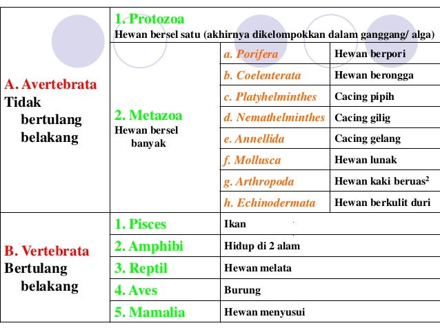 2 klasifikasi  new