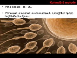Kalendārā metode
• Perla indekss - 15 – 20.
• Pamatojas uz olšūnas un spermatozoīdu apaugļoties spējas
saglabāšanās ilgumu.
 