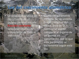 • La velocidad relativa de
crecimiento de un
órgano (animal) es una
fracción constante de la
velocidad relativa de
crecimiento de todo el
individuo.
• Cualquier parámetro
medible de un sistema
fluvial (longitud del
cauce, área de la
cuenca) se puede
comparar al órgano de
un animal en
crecimiento, por lo que
este parámetro se
incrementa según esta
ley.
28/01/2009 10:47 p.m. 2. La cuenca hidrográfica 211
 