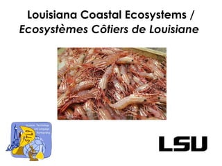 Louisiana Coastal Ecosystems /
Ecosystèmes Côtiers de Louisiane
 